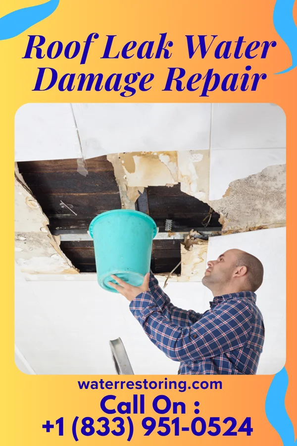 Roof Leak Water Damage Repair in Lake San Marcos, CA